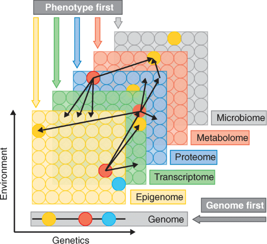 Graph of Clinical trial for osteoarthritis measuring Multi-Omics